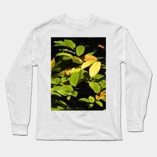 Sweet Chestnut Long Sleeve T-Shirt